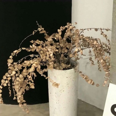 Furry创作思路分享FurryQQ群